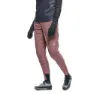 Dainese Hgl Hosen