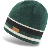 Dakine Lumberman Merino Mütze Dakine Lumberman Merino Mütze