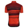 Dare 2b Aep Pedal Kurzarm-radtrikot