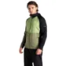 Olivine green / black