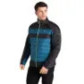 Kingfisher blue / black