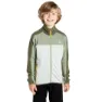 Olive green / hedge green