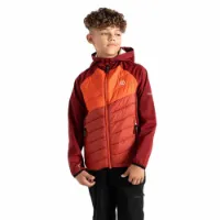 Dare 2b Explore Hybrid Softshelljacke Dare 2b Explore Hybrid Softshelljacke