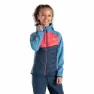 Dare 2b Explore Hybrid Softshelljacke