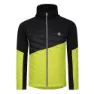 Black / green alga