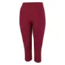 Dare 2b In The Zone Ii 3/4 Baselayer-hose, Fig
