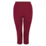 Dare 2b In The Zone Ii 3/4 Baselayer-hose, Fig
