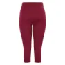 Dare 2b In The Zone Ii 3/4 Baselayer-hose, Fig