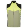 Dare 2b Lattitudinal Weste, Green al / oil / black