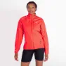 Dare 2b Mediant Ii Jacke