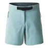 Dare 2b Melodic Pro Ii Kurze Hose