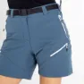Dare 2b Melodic Pro Kurze Hose