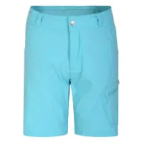Dare 2b Reprise Ii Kurze Hose