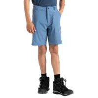 Dare 2b Reprise Ii Kurze Hose