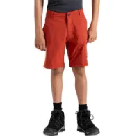 Dare 2b Reprise Ii Kurze Hose