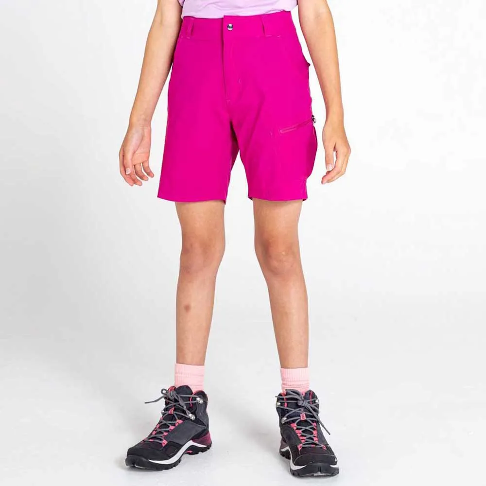 Dare 2b Reprise Ii Kurze Hose