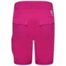 Dare 2b Reprise Ii Kurze Hose