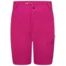 Dare 2b Reprise Ii Kurze Hose