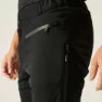 Dare 2b Roving Hosen