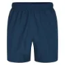 Dare 2b Surrect Kurze Hose