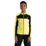 Black / yellow plum