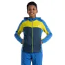Olympian blue / yellow plum