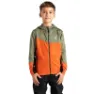 Olivine green / orange rust