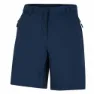 Dare 2b Torrek Kurze Hose