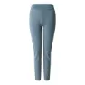 Dare 2b Torrek Leggings