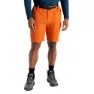 Dare 2b Tuned In Pro Lightweight Cargo Kurze Hose