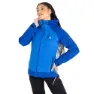 Dare 2b Veritas Era Jacke