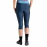 Dare 2b Worldly 3/4-hosen