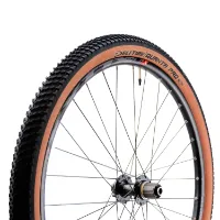 Deli Tire Fahrradreifen SA-270 Quanta Pro TubeType 54-622 Unisex