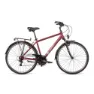 Dema Arosa 1 Fahrrad, Brown, L