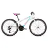 Dema Roxie 24´´ Mtb-rahmen, Light green, One Size