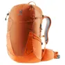 Chestnut / mandarine
