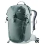 Teal / tin