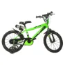 Dino Bikes 16´´ Mountainbike Refurbished, Green, 6-8Y