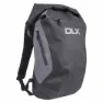 Dlx Gentoo 20l Rucksack, Black