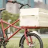 Dom Cargo Fahrrad, Red, One Size