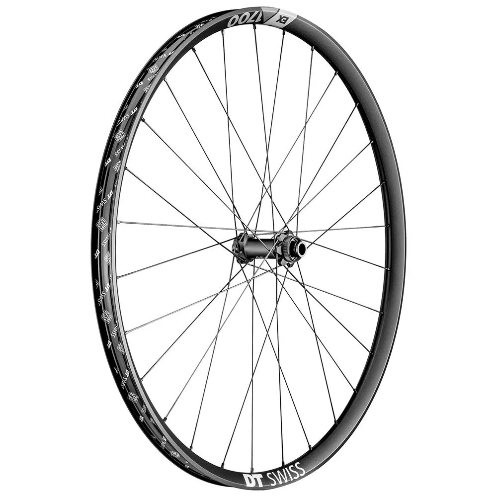 DT Swiss Ex 1700 Spline 30 29´´ Cl Disc Mtb Vorderrad DT Swiss Ex 1700 Spline 30 29´´ Cl Disc Mtb Vorderrad