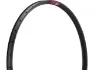 DT Swiss FR 541 Disc 29" Felge