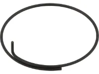 DT Swiss Klinkenfeder für HR Nabe DT Onyx DT Swiss Klinkenfeder für HR Nabe DT Onyx