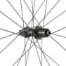 DT Swiss P 1800 Spline 20 700 Cl Disc Tubeless Rennrad-hinterrad