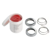 DT Swiss Ratchet 24t Service-kit