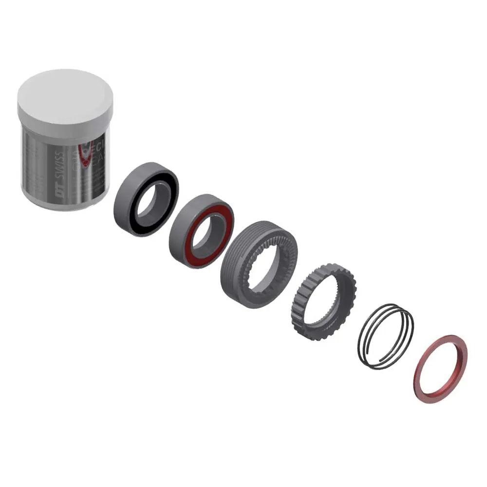 DT Swiss Ratchet 54t 240 Exp Service-kit, Silver, One Size DT Swiss Ratchet 54t 240 Exp Service-kit, Silver, One Size