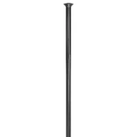 DT Swiss Revolite Straightpull Speichen 20 Einheiten DT Swiss Revolite Straightpull Speichen 20 Einheiten