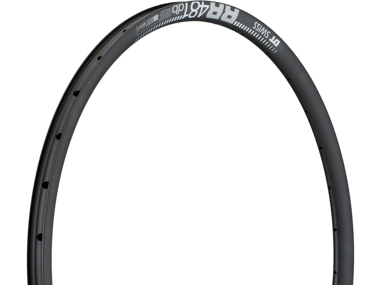 DT Swiss RR 481 Disc 29" Felge DT Swiss RR 481 Disc 29" Felge