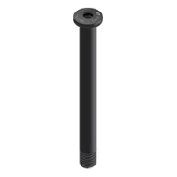 DT Swiss Rws 12x100 Mm 421659701 Steckachse Vorne