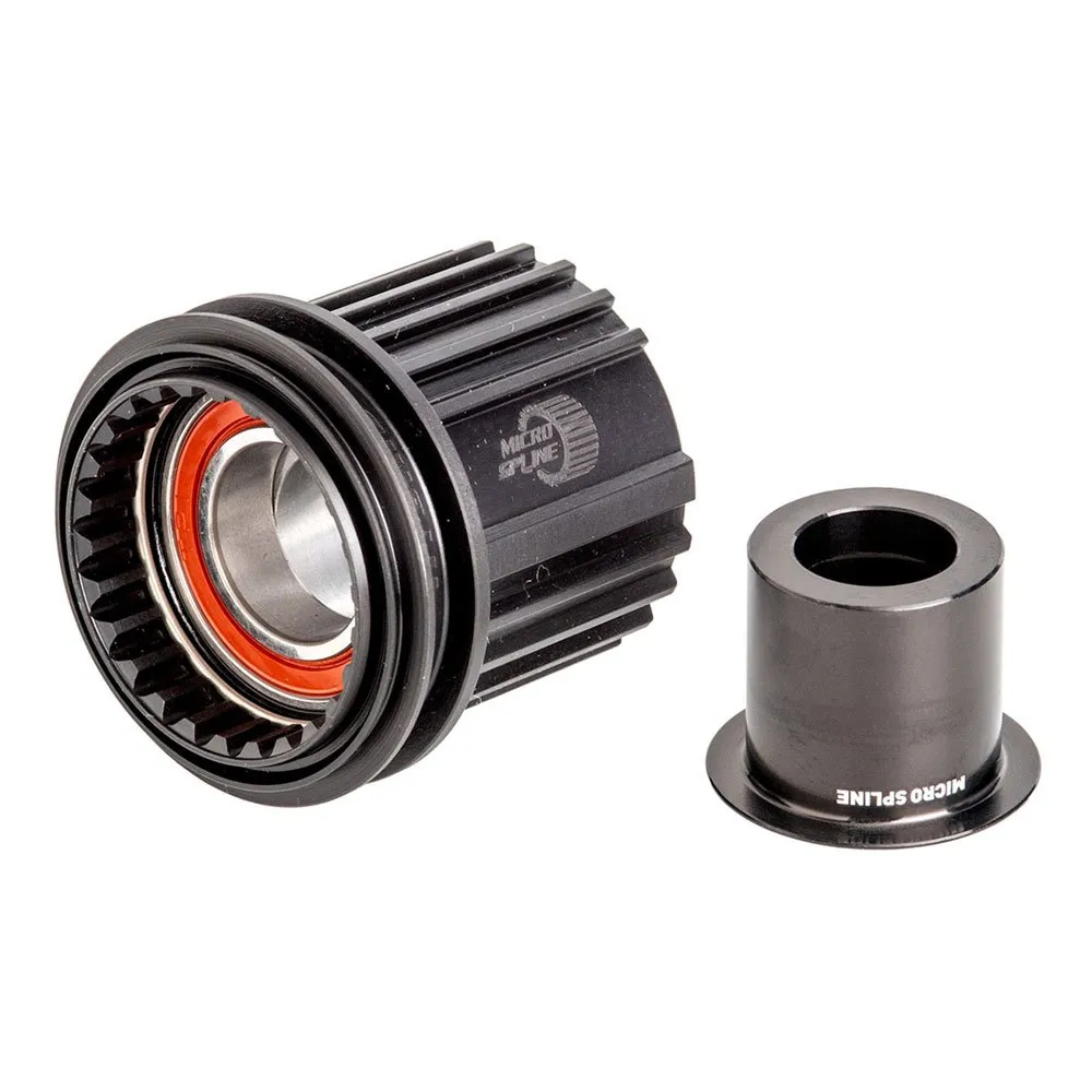 DT Swiss Shimano Micro Spline Ratchet Kit Lagerkugeln, Black, 12 x 142/148mm DT Swiss Shimano Micro Spline Ratchet Kit Lagerkugeln, Black, 12 x 142/148mm